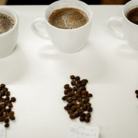 Zrnková káva - Espresso zmes - 70 % Arabica, 30 % Robusta