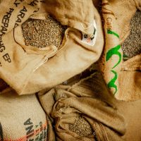 Zrnková káva - Ethiopia Boji Kochere- 100% arabica