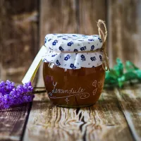  Bylinný sirup Zázvor zo Sliezskej záhradky 500 ml